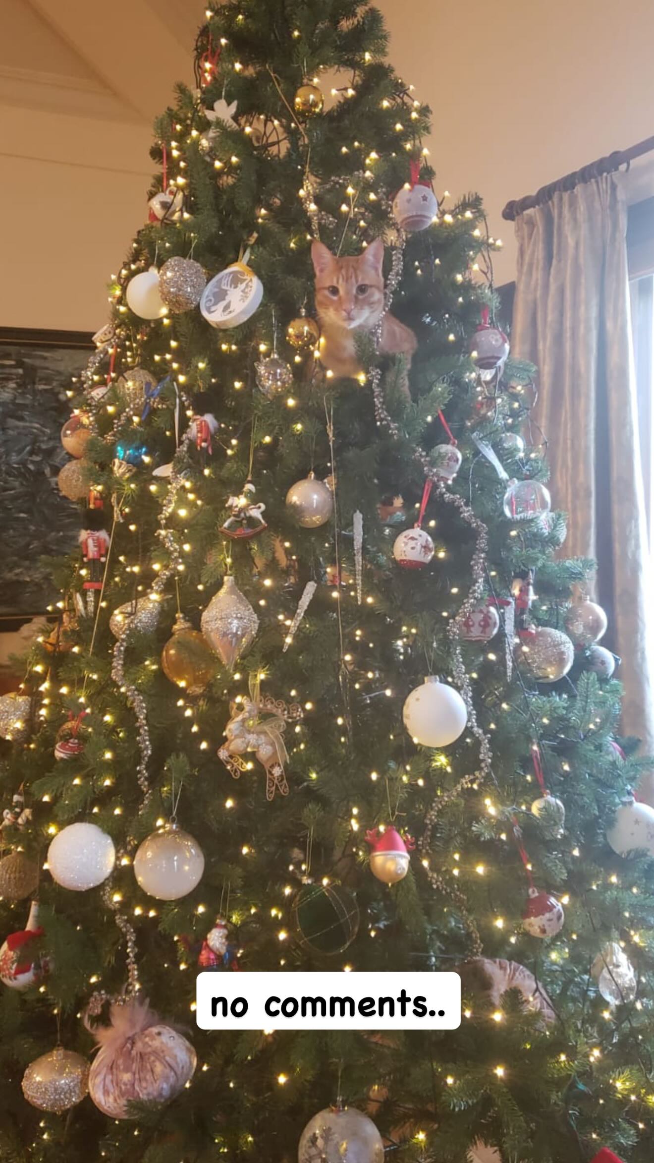 Φαίη Σκορδά