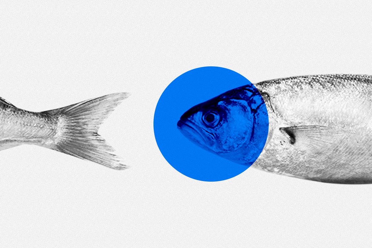 Τρία κρυφά διαμάντια με ψαρικά στην Αττική