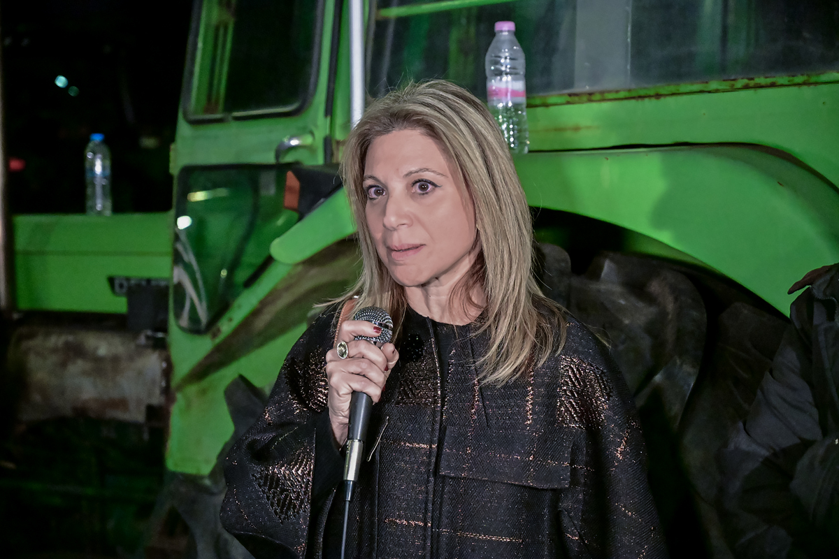 Η ανακοίνωση της Μαρίας Καρυστιανού ανακάτεψε για τα καλά την τράπουλα