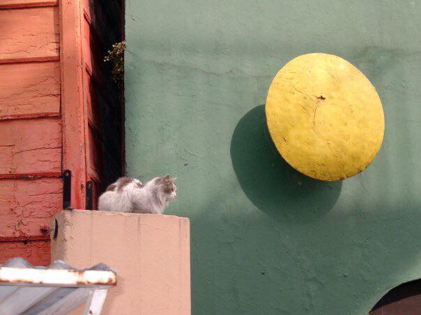 ON THE ROAD με τον Στράτο Καντζέλη