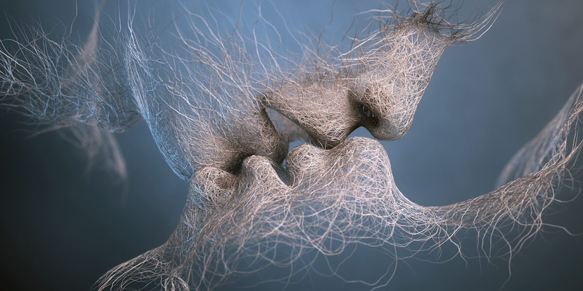 Adam Martinakis – ‘Beauty’s Anatomy’