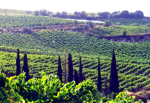 Ανοιχτές Πόρτες 2015  9 & 10 Μαΐου