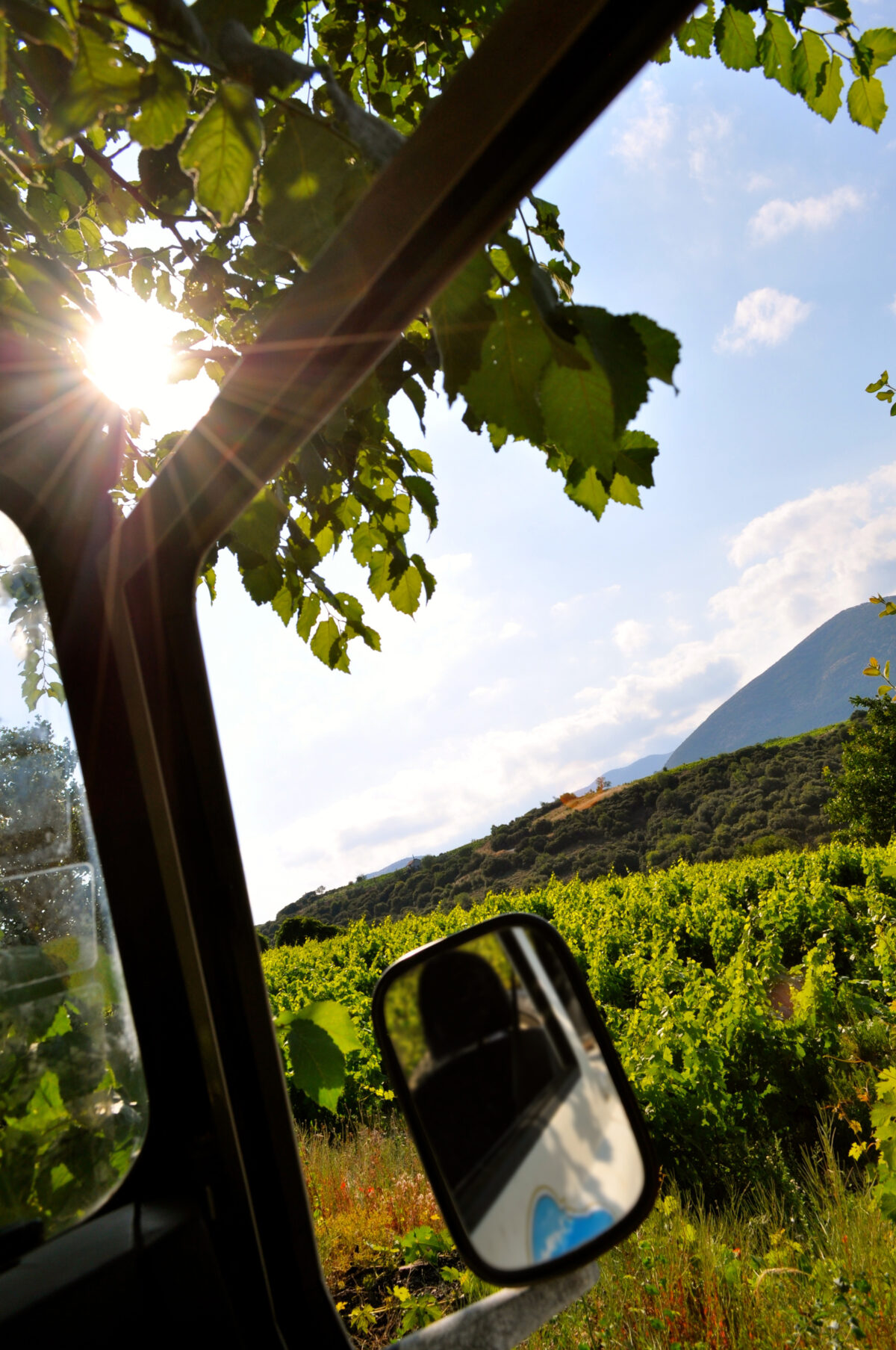 «ΑΝΟΙΧΤΕΣ ΠΟΡΤΕΣ 2015» ΜΕ RAPSANI WINE ADVENTURE