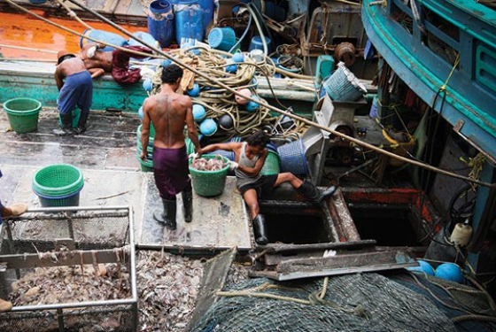Οι ψαράδες της Ταϊλάνδης ζούνε σε καθεστώς απόλυτης σκλαβιάς