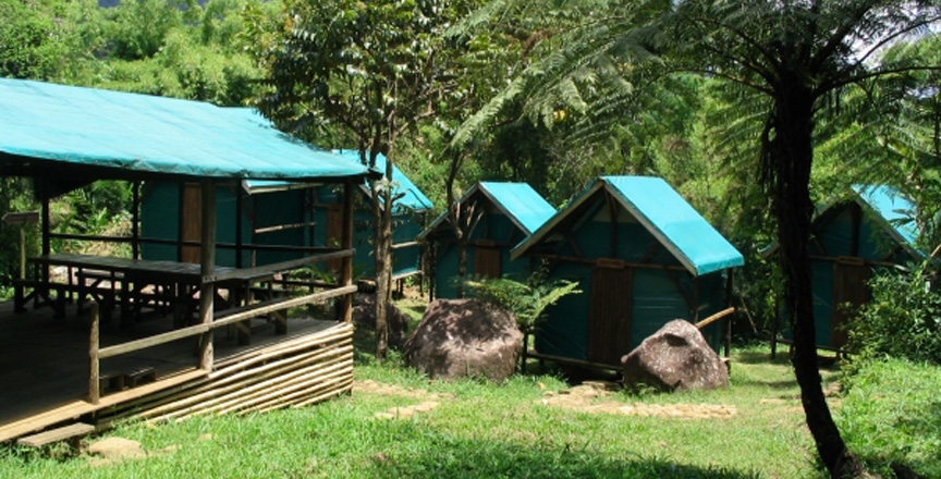 Τα οφέλη της κατασκήνωσης