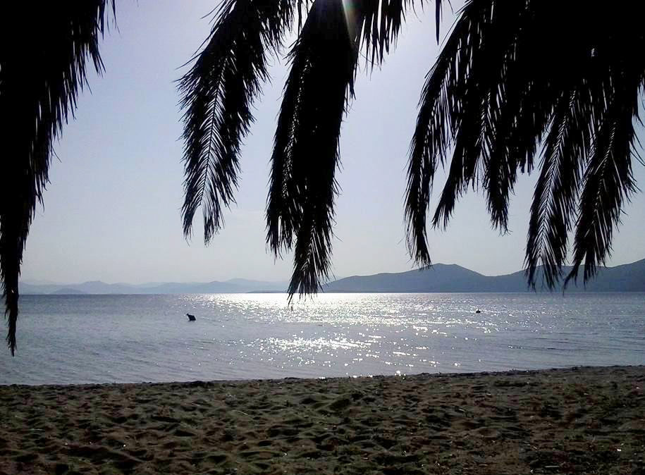 Ακρογιαλιές δειλινά