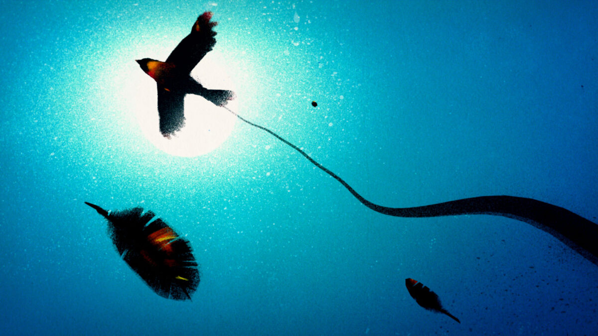 Το έθνος να λυπάστε