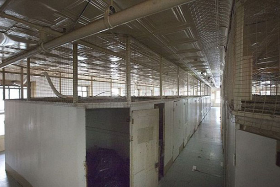 Το φθηνότερο ξενοδοχείο της Νέας Υόρκης είναι και το χειρότερο του κόσμου