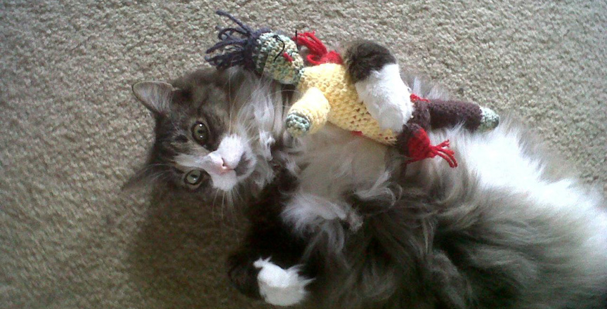 Cats vs Zombies: Τα ζόμπι είναι… γατοφάγα!