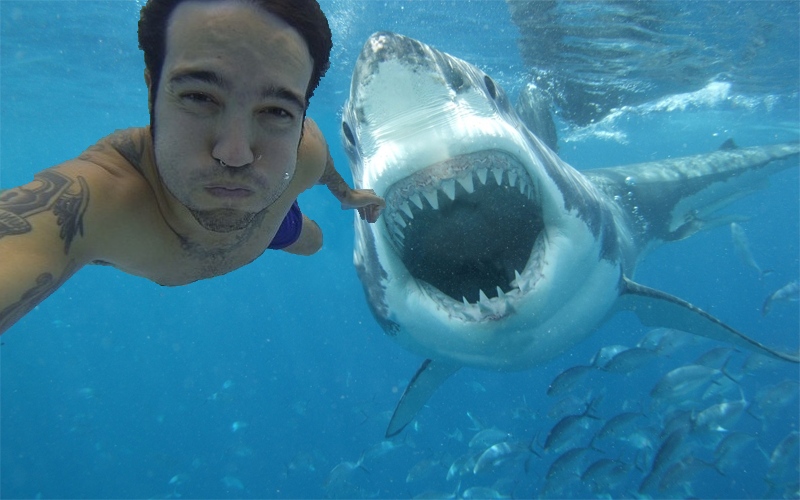 Σελίδα στη Wikipedia καταγράφει τους θανάτους από selfies