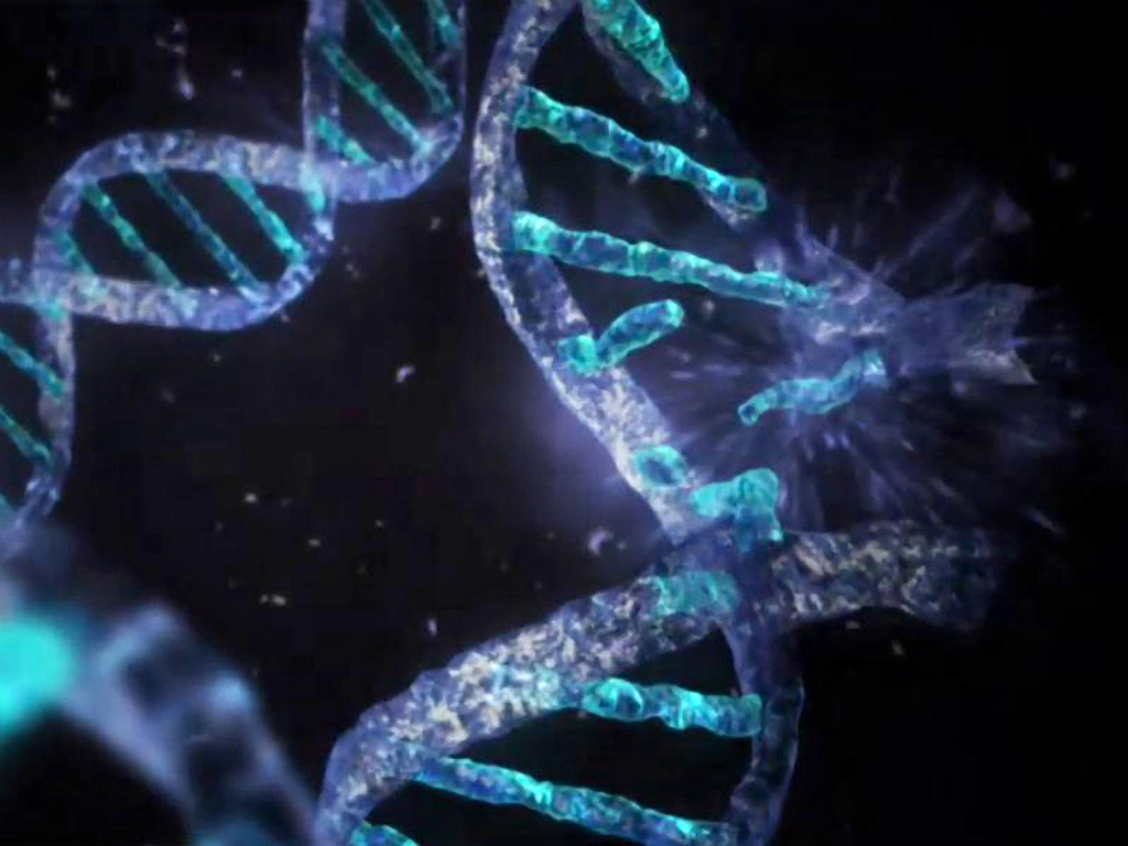 Η διπλή έλικα του DNA, παίρνει διάφορα σχήματα