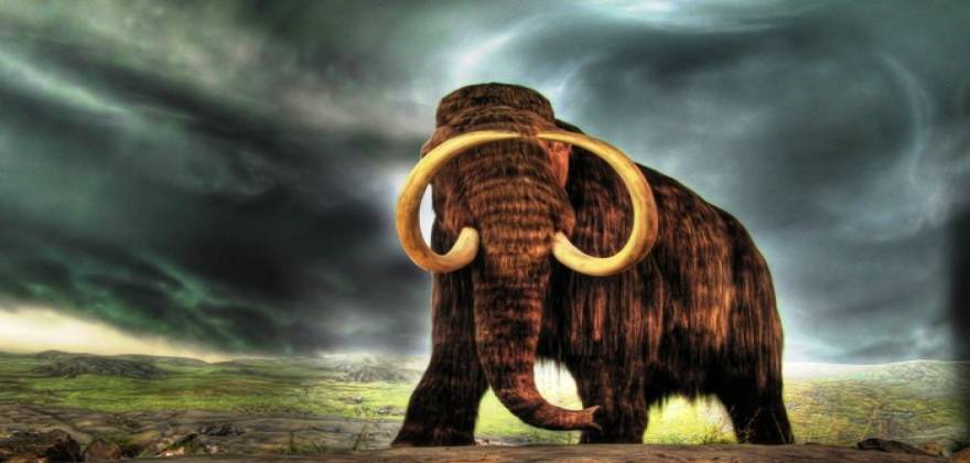 Η  εξαφάνιση των Μαμούθ μπορεί να οφείλεται στην …οστεοπόρωση