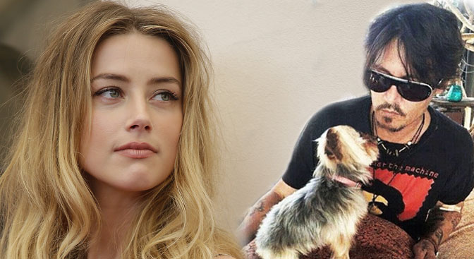 Η Άμπερ Χερντ, θα δικαστεί τον Απρίλιο επειδή είχε φέρει παράνομα τα δύο τεριέ στην Αυστραλία