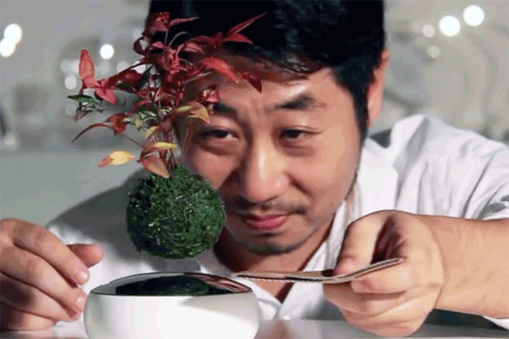 Πετάει, πετάει το bonsai; Πετάει και κοστίζει ακριβά!