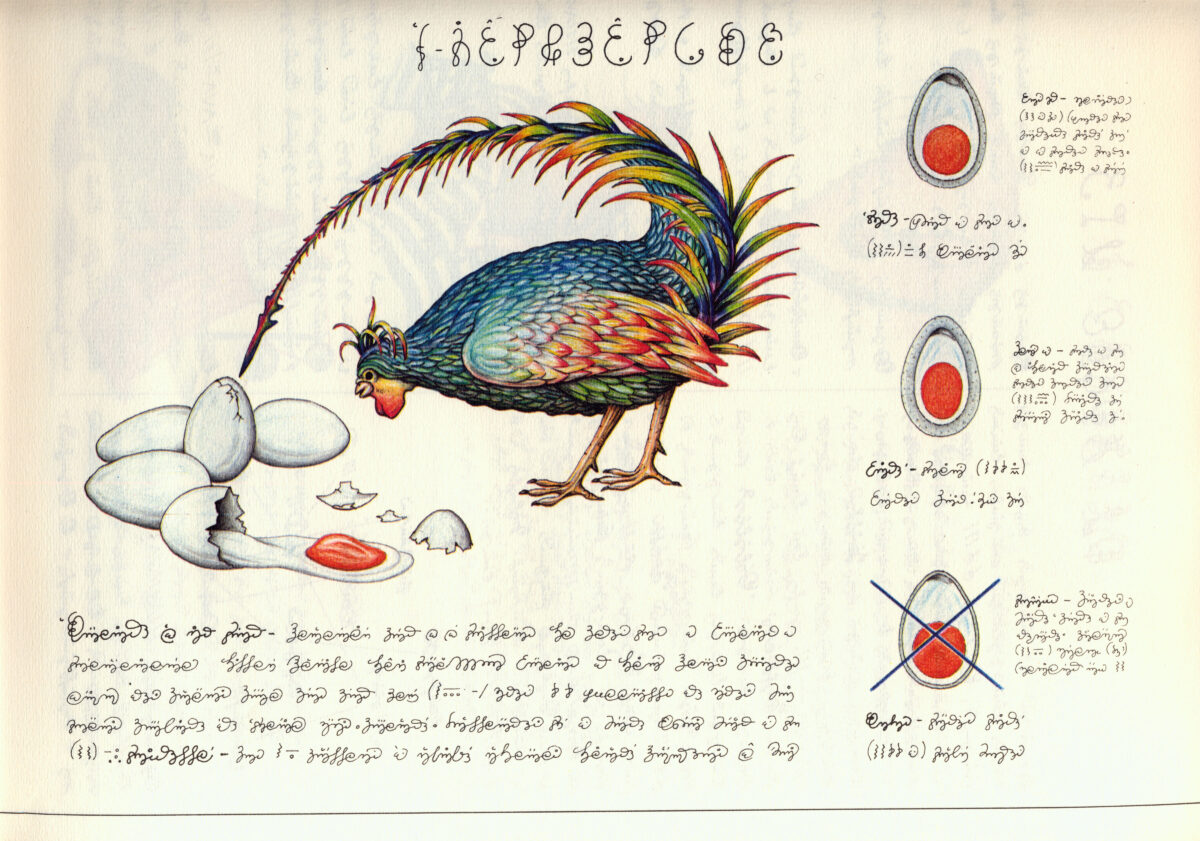 Codex Seraphinianus: Το πιο παράξενο βιβλίο που έχει «γραφτεί» ποτέ