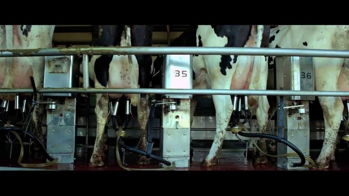 Καλή όρεξη! Είπες τίποτα ;