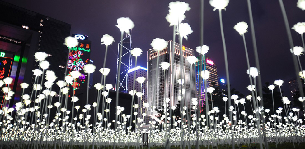 light rose garden 35