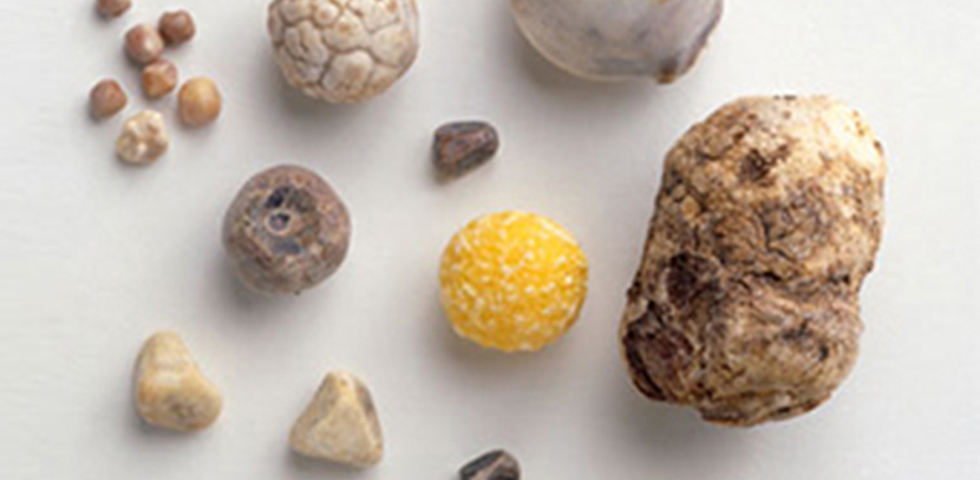 Η ιστορία των Αυγών του Δράκου || μέρος 2ο