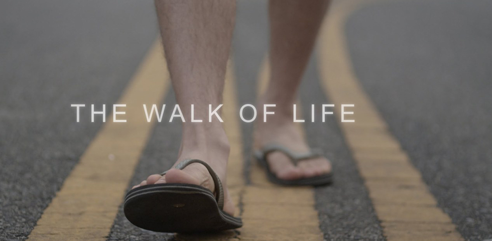 Walk of life project
