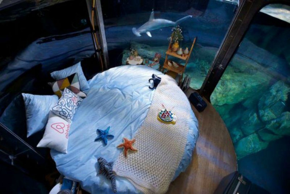 Κέρδισε μια υποθαλάσσια διαμονή δίπλα σε καρχαρίες από το Airbnb