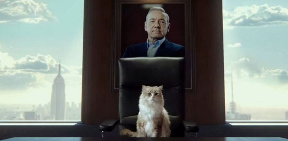 Ο Frank Underwood έγινε… γάτα και νιαουρίζει ξεκαρδιστικά!