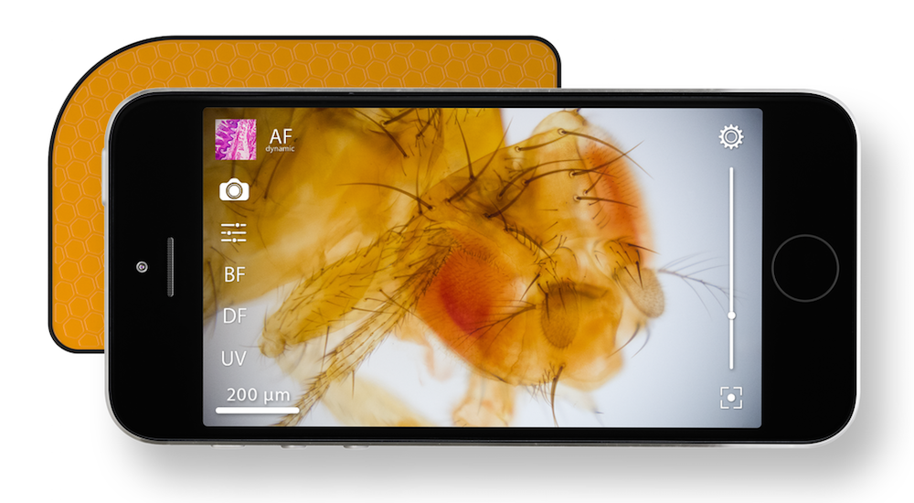 Μετάτρεψε το κινητό σου σε μικροσκόπιο στο λεπτό!