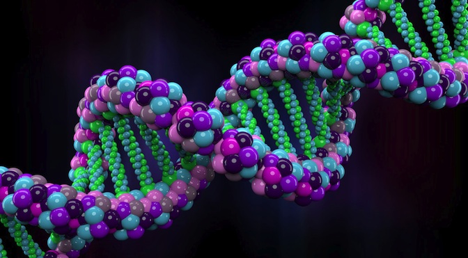 Το DNA ζει και μετά θάνατον
