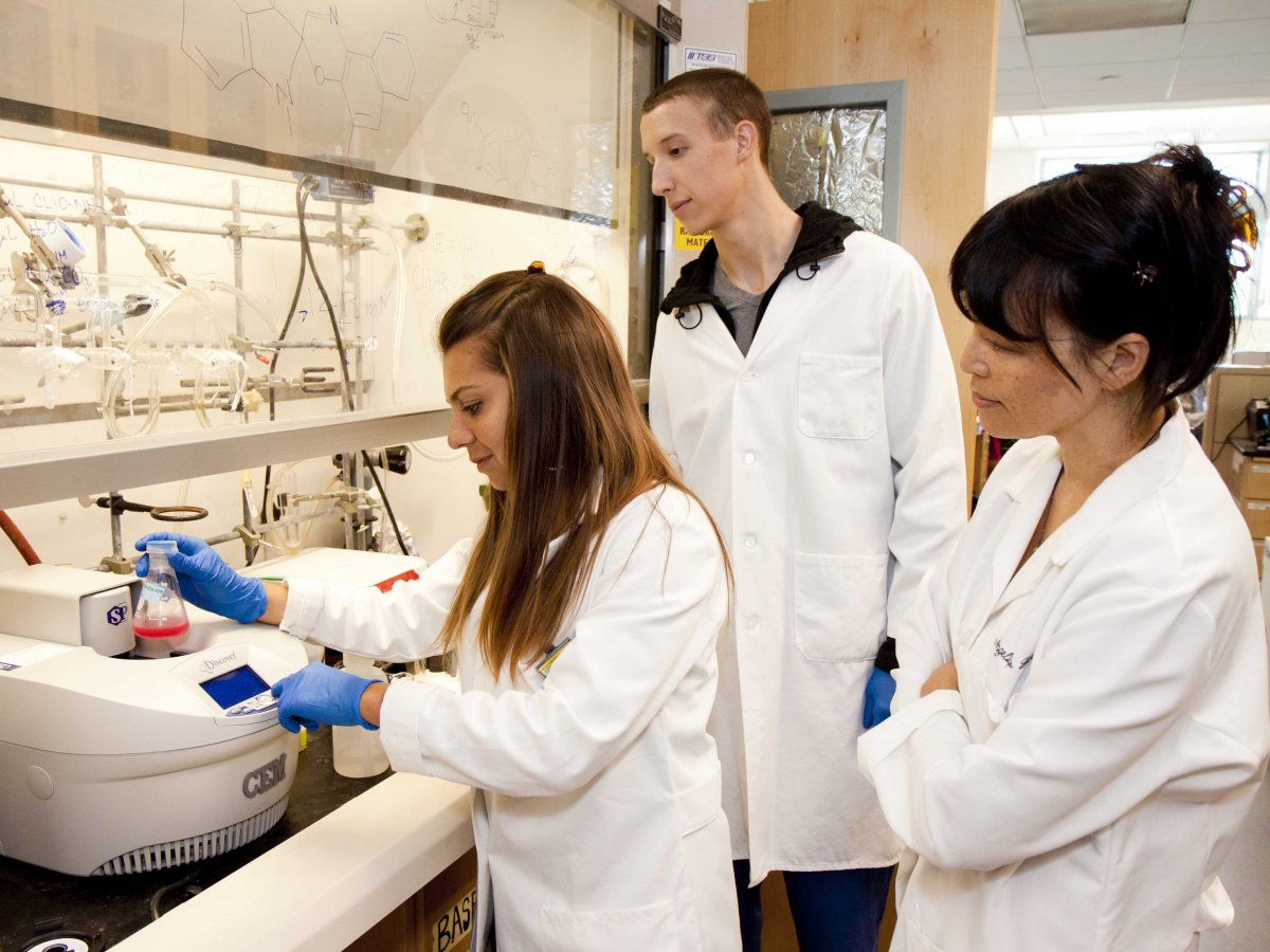 19+1 επαγγέλματα που έχουν λιγότερο άγχος και πολλά χρήματα