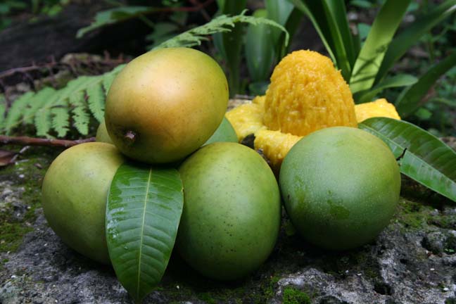 Είναι το άγριο mango ο αντικαταστάτης της σοκολάτας;