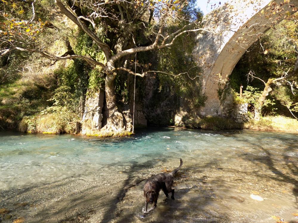 Μια διαφορετική εκδρομή στο Λούσιο ποταμό