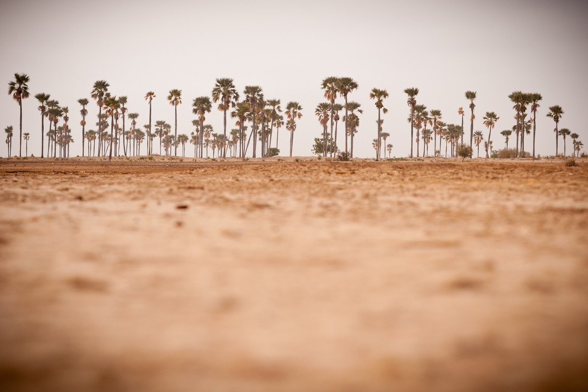 Αλλάζει το κλίμα και πληθαίνουν οι καλοκαιρινές ημέρες