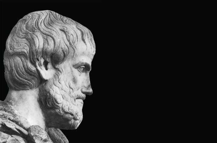Αριστοτέλης: Έπρεπε να μετράμε το χρόνο με τους χτύπους της καρδιάς