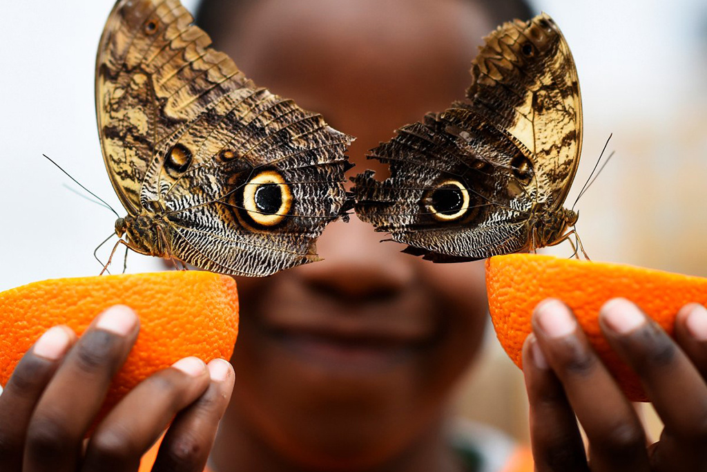 Reuters | Οι πιο πετυχημένες του φωτογραφίες στο Instagram για το 2016