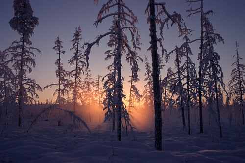 Ρωσία | Reality show όπου θα επιτρέπονται φόνοι και βιασμοί