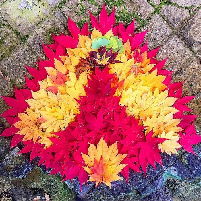 Στην Ιαπωνία «ζωγράφιζουν» με τα πεσμένα φύλλα