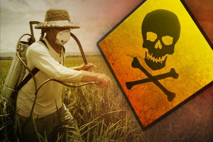 Τα 12 πιο μολυσμένα φρούτα και λαχανικά από φυτοφάρμακα