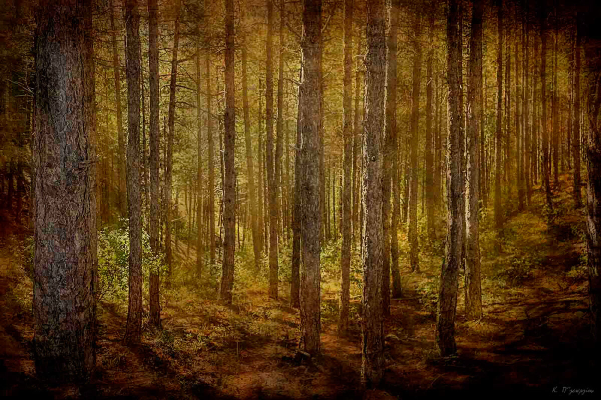 Μεταξύ μύθου και πραγματικότητας-Επεισόδιο 1ο