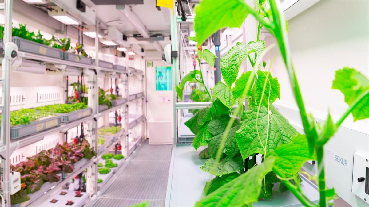 Λαχανικά στο διάστημα από ευρωπαίους επιστήμονες