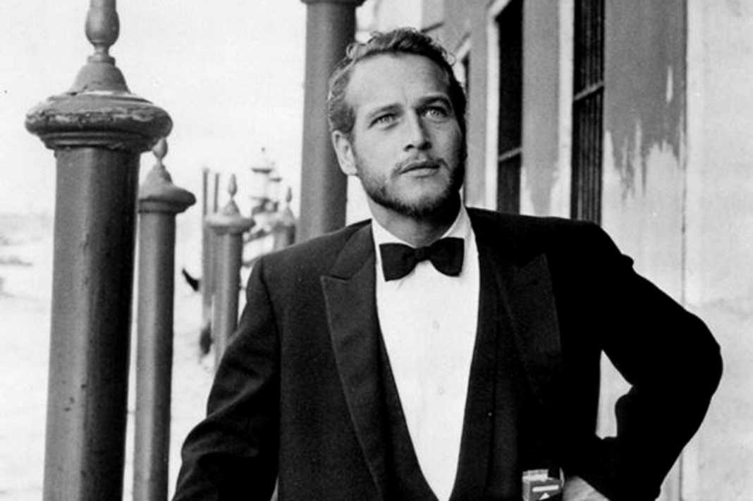 Ζώδια | Ποιό θεωρείται πιο ευφυές & ποιά η νοημοσύνη του κάθε ζωδίου;