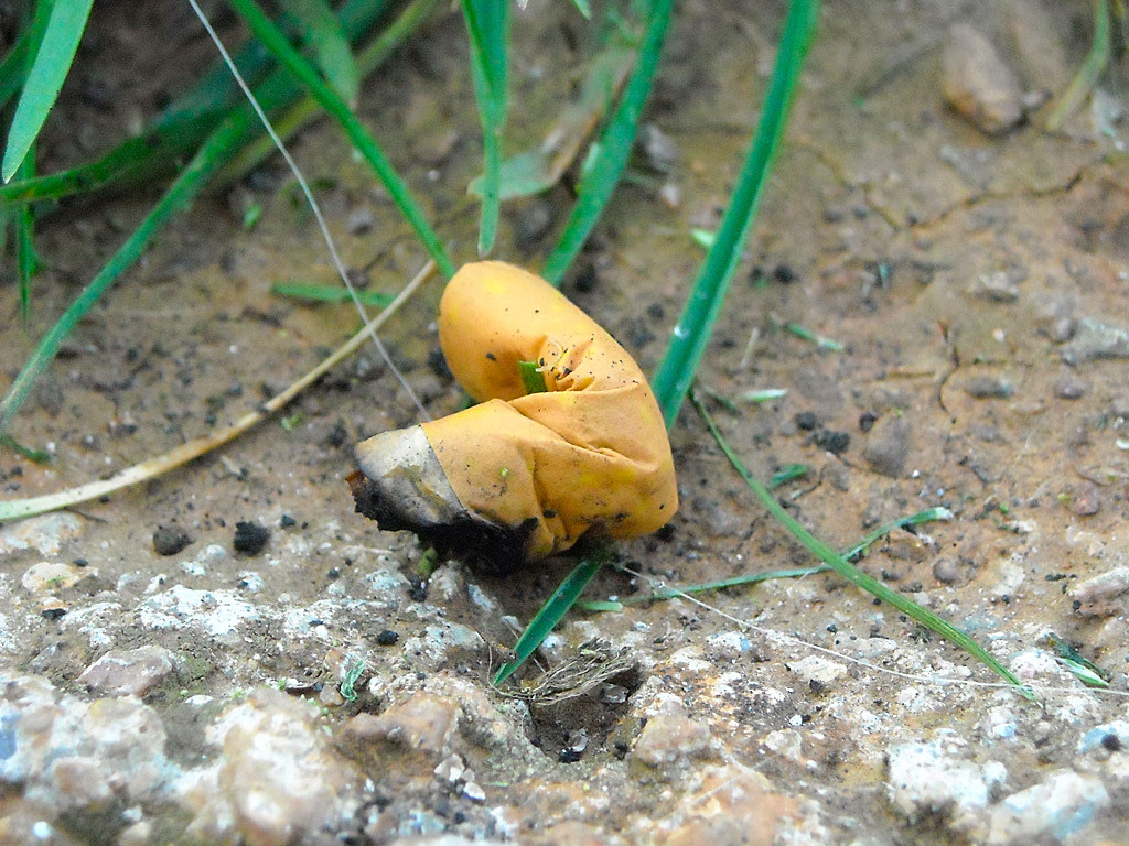 Ένας Κρητικός θα πληρώσει… χρυσό το τσιγάρο που πέταξε σε δρόμο του Λονδίνου
