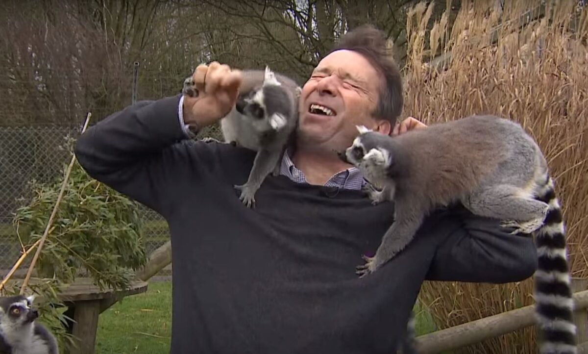 Λεμούριοι επιτέθηκαν σε ρεπόρτερ… on air (Βίντεο)