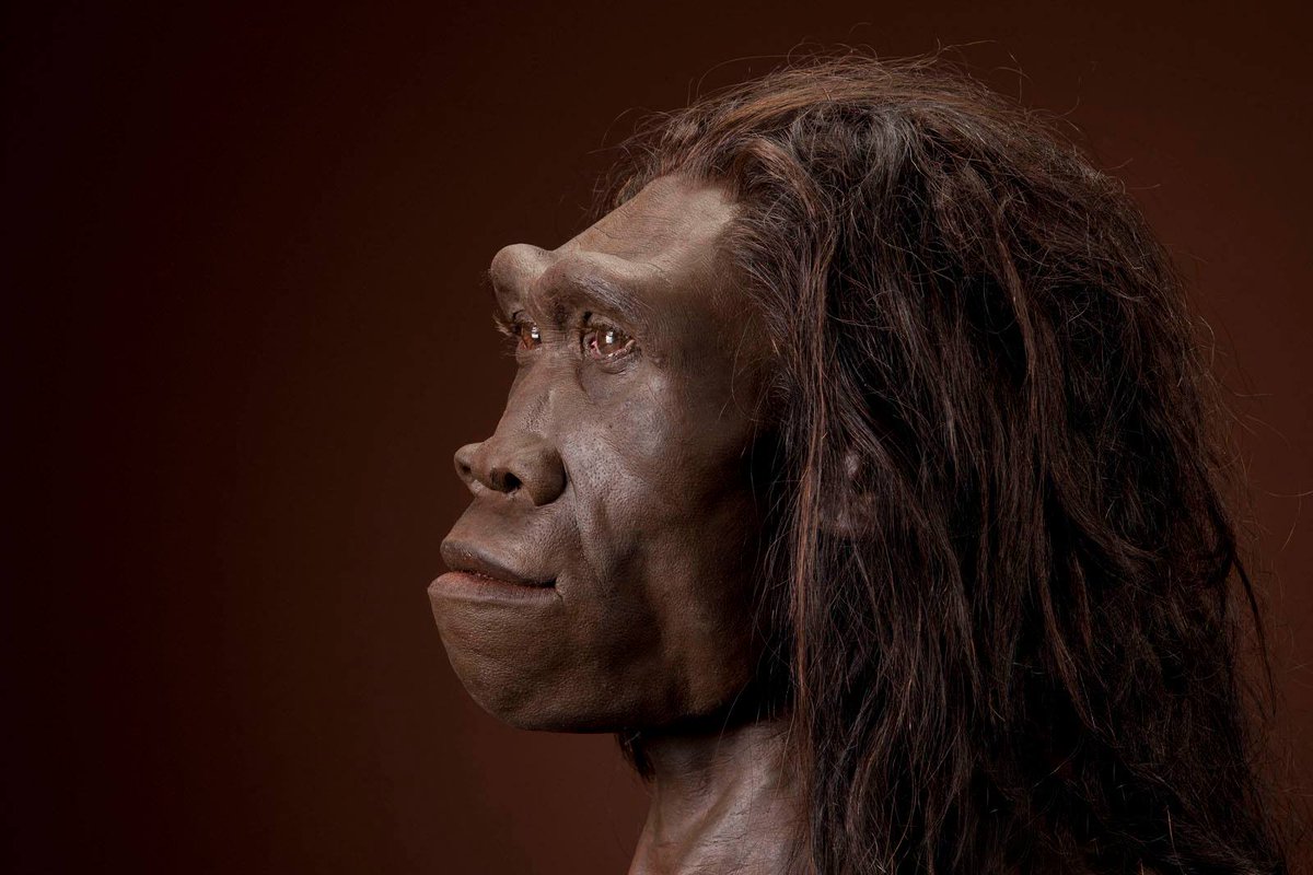 Ο Homo erectus ήταν ο πρώτος που μίλησε & ο πρώτος ταξιδιώτης