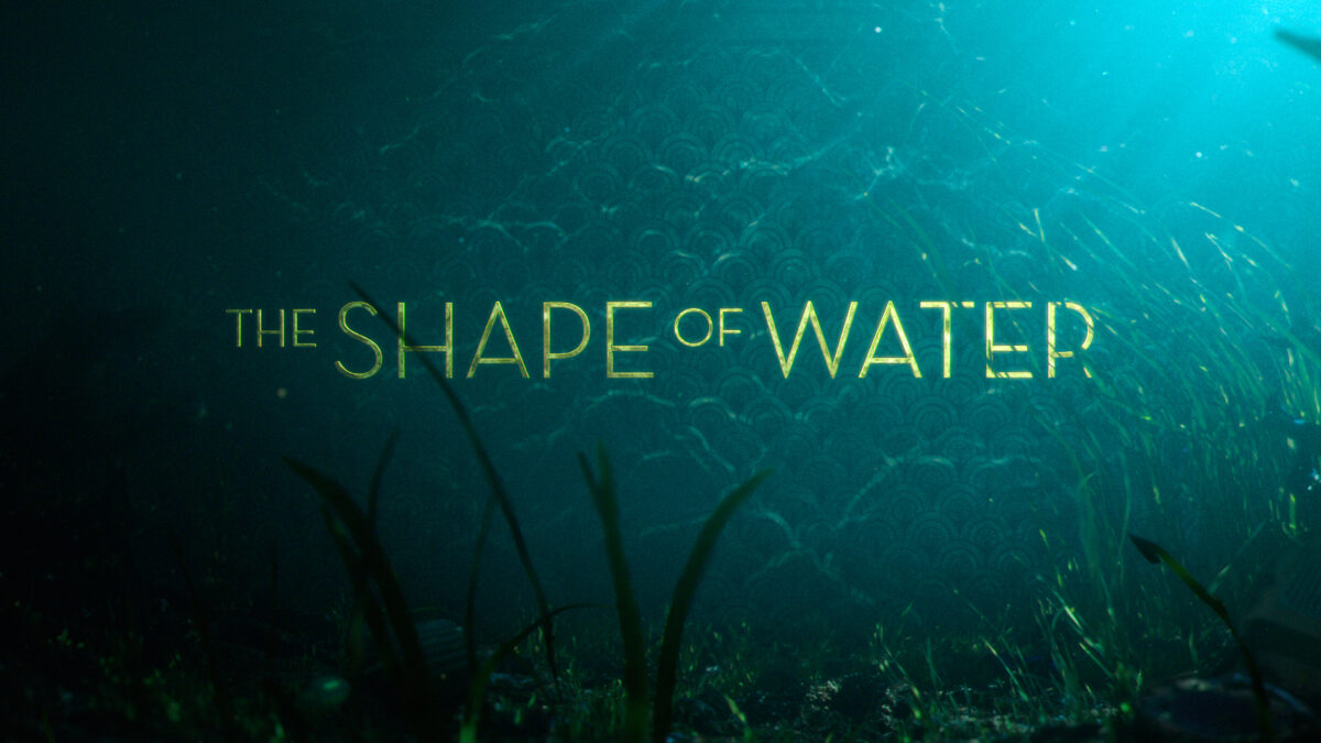 «The Shape of Water»: Στο υδάτινο παραμύθι του Γκιγιέρμο Ντελ Τόρο το Όσκαρ Καλύτερης Ταινίας