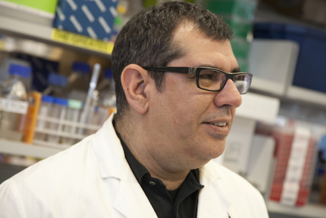 Νικόλαος Παπαδόπουλος | Ο Έλληνας γιατρός που αναβαθμίζει το τεστ ΠΑΠ του αείμνηστου Γεωργίου Παπανικολάου