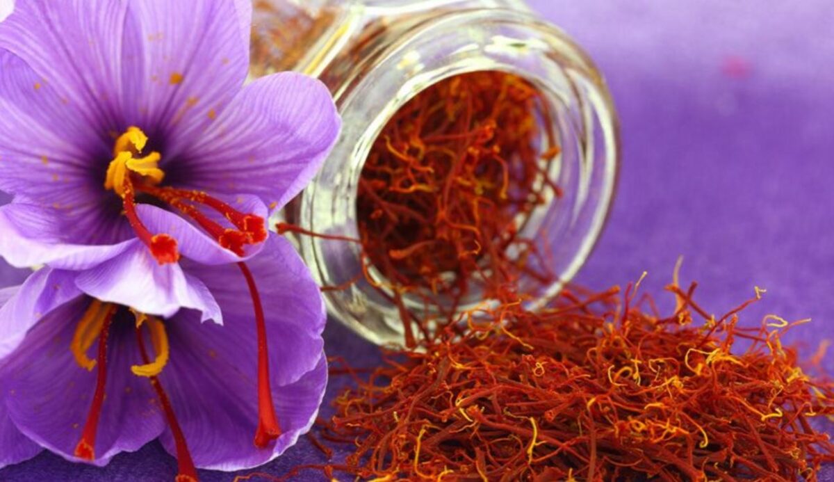 Κρόκος Κοζάνης: Ο ελληνικός θησαυρός για την υγεία