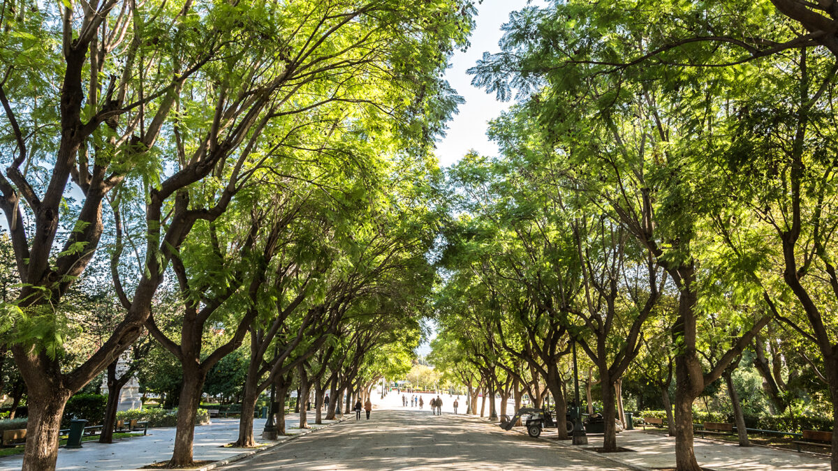 Ο Δήμος Αθηναίων επενδύει 9,5 εκ. ευρώ για να αλλάξει την εικόνα της πρωτεύουσας