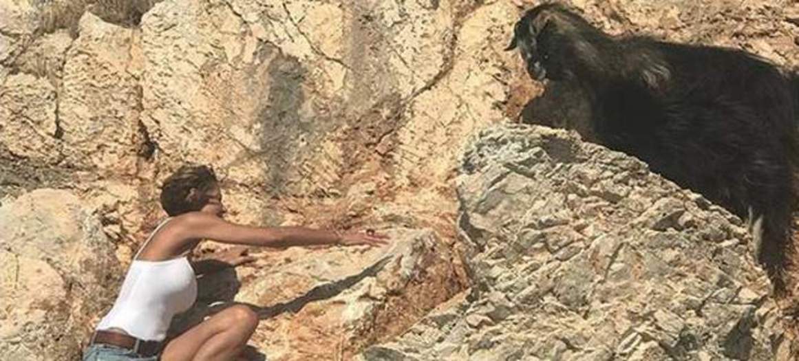 Φιλιππίδης-Χαϊκάλης  για Μπαλατσινού | Το επικό βίντεο όπου την τρολάρουν για τη διάσωση της γίδας