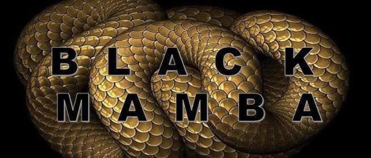 BLACK MAMBA | Το εκπληκτικό trailer για το βιβλίο του Άρη Τερζόπουλο & το κρυφό μήνυμά του