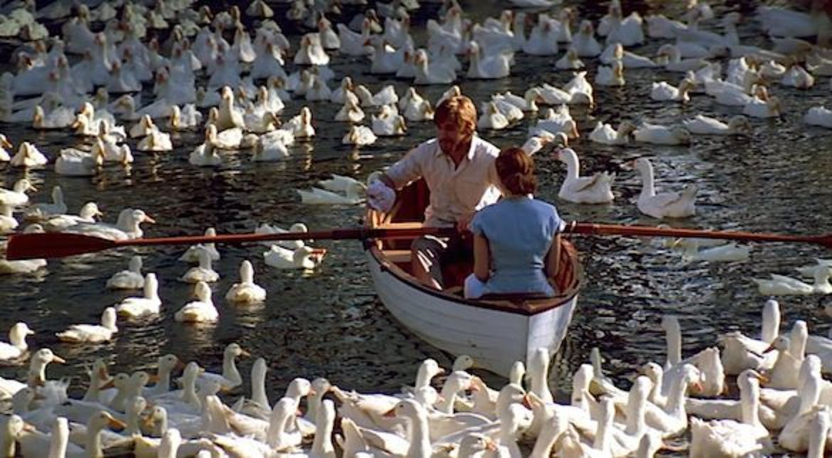 Η αγάπη άργησε μια μέρα | Η αριστουργηματική ιστορία της Λιλής Ζωγράφου