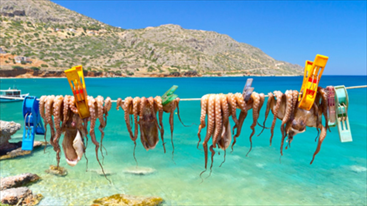 Τι καλοκαίρι θα έχει η Ελλάδα; Δείτε την πρόβλεψη του ευρωπαϊκού προγράμματος Copernicus